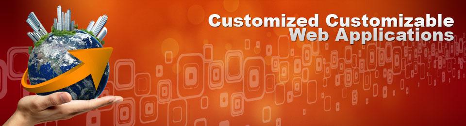 Custom Web Development India